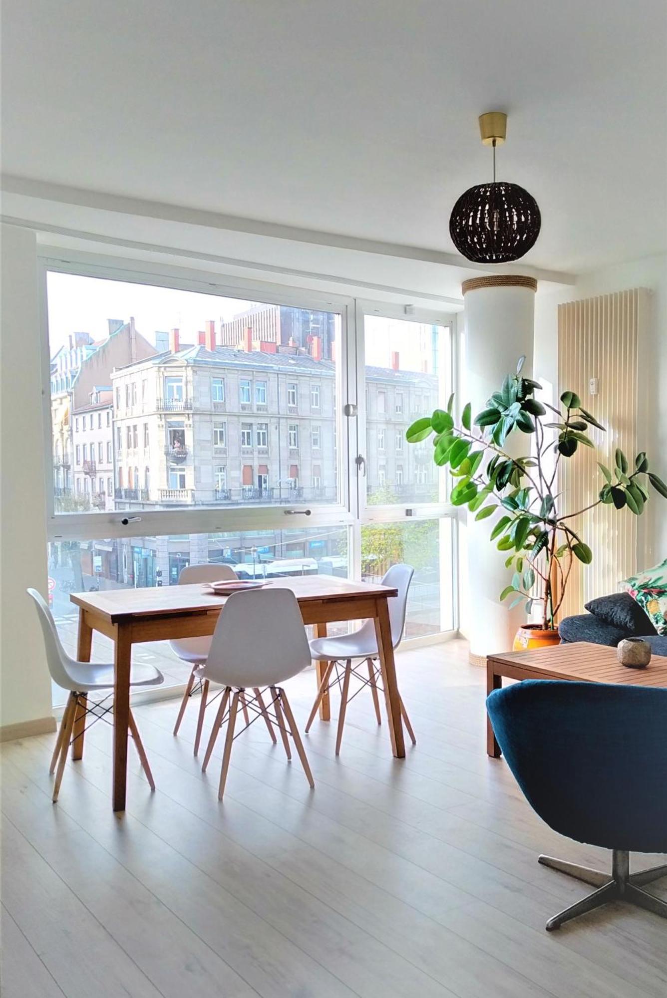 Appartement Au Cœur De Strasbourg, 3 Pièces Vue Sur L'ill! *